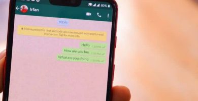 ¿Cómo enviar mensajes por WhatsApp sin usar el móvil? – Guía Definitiva