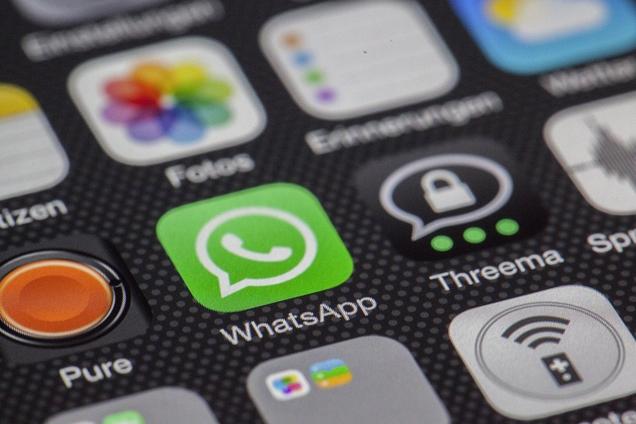 Número de whatsapp
