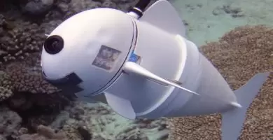 Este pececito robot biónico podría salvar el mundo de la contaminación oceánica